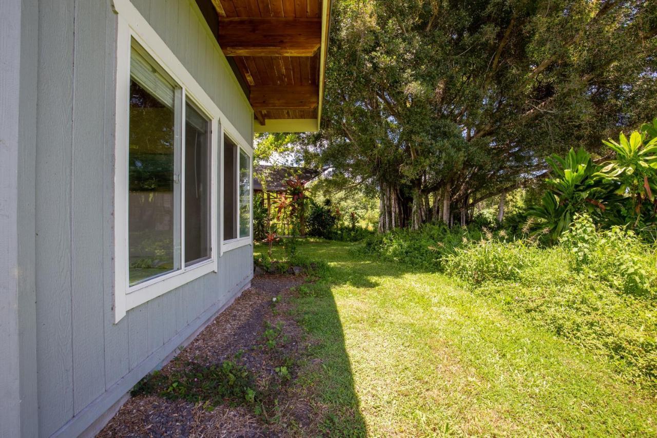Villa Kalani Oceanside Retreat Pahoa Exterior foto